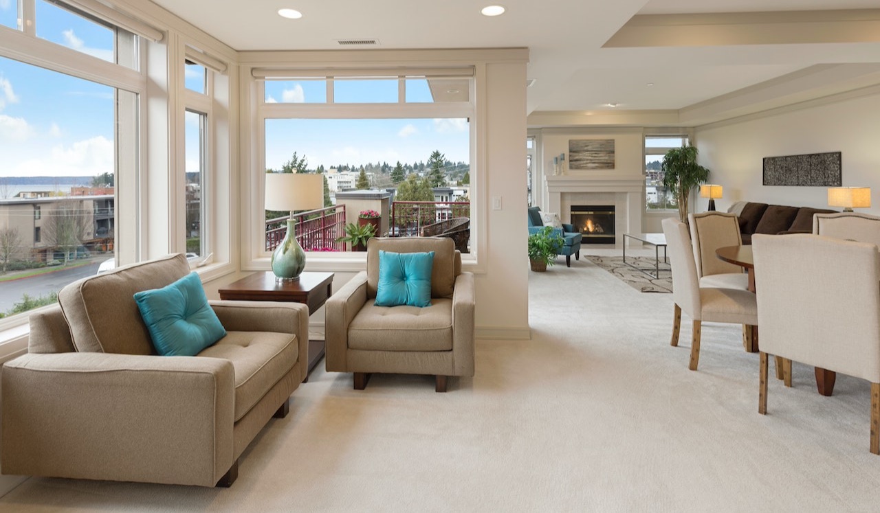 Maecenas a odio nec dui fringilla