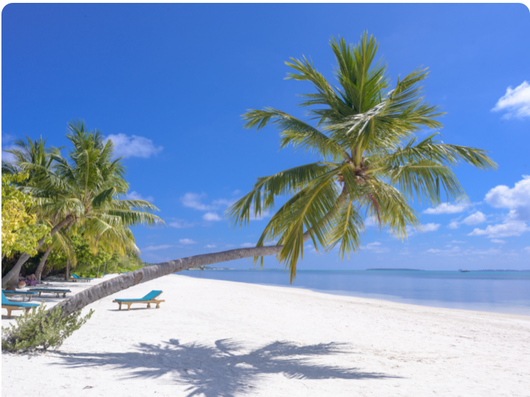 card playa card playa